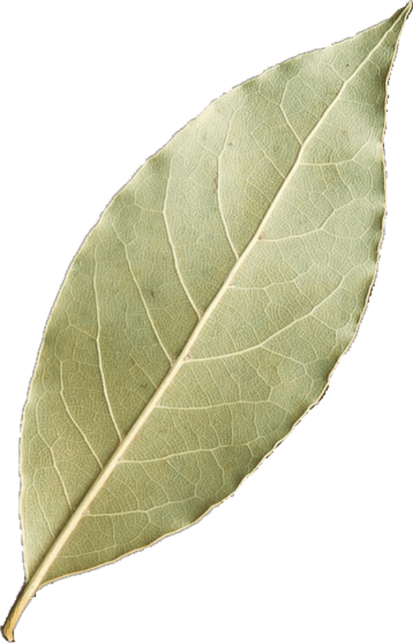 bayleaf