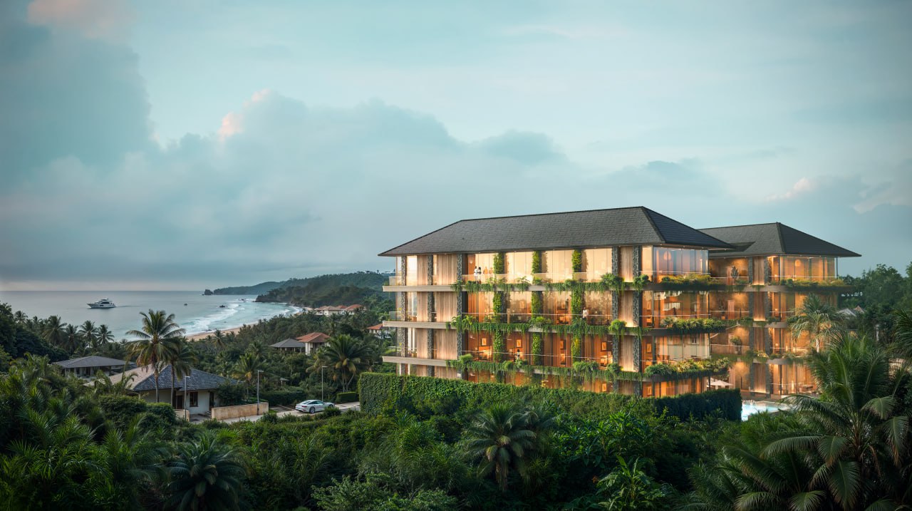 Королевский оазис черное издание