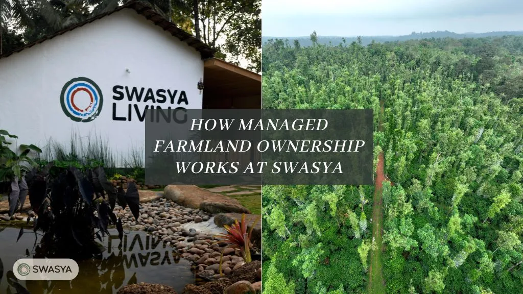 How Managed Farmland Ownership Works at Swasya