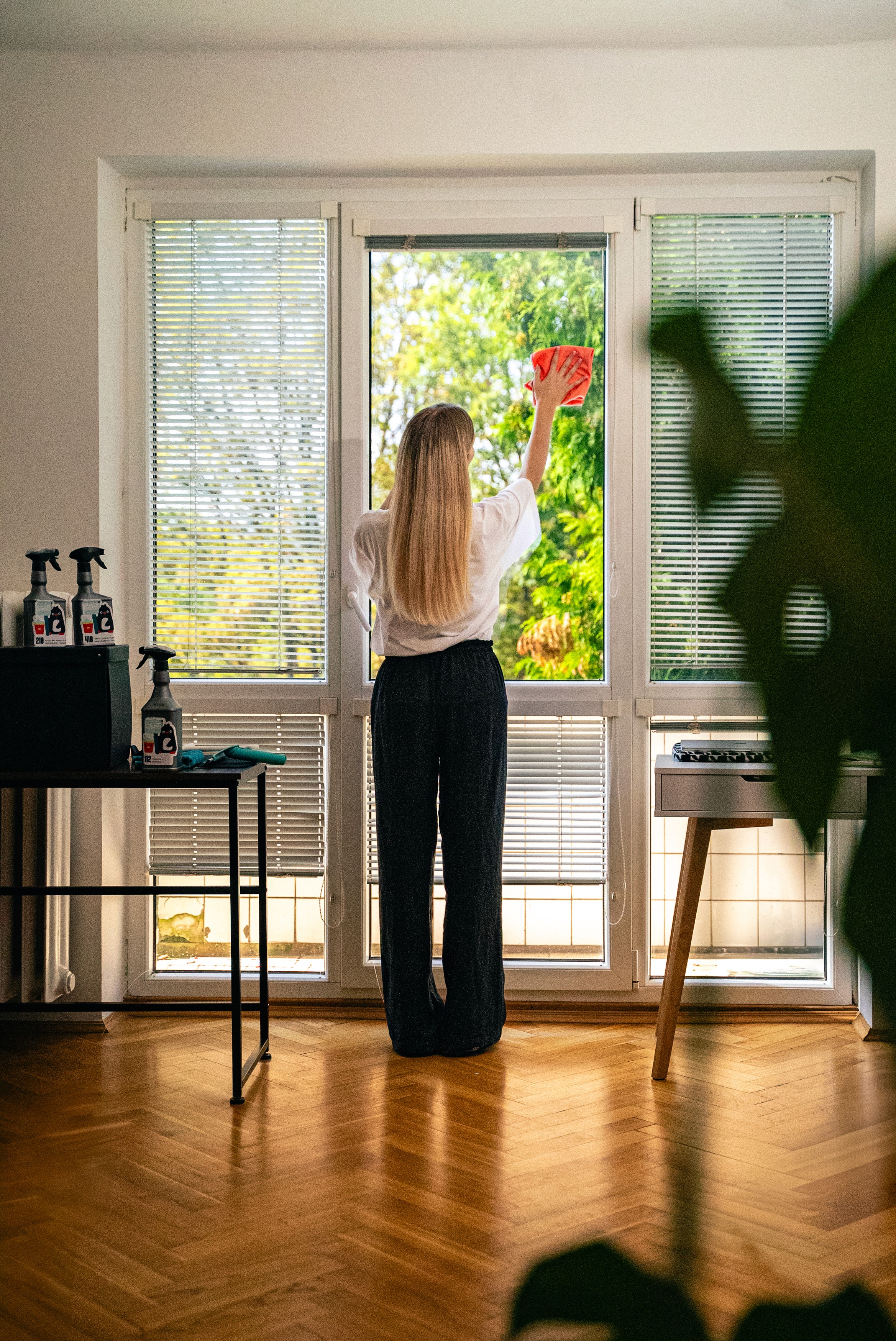 Cleaner washing a window