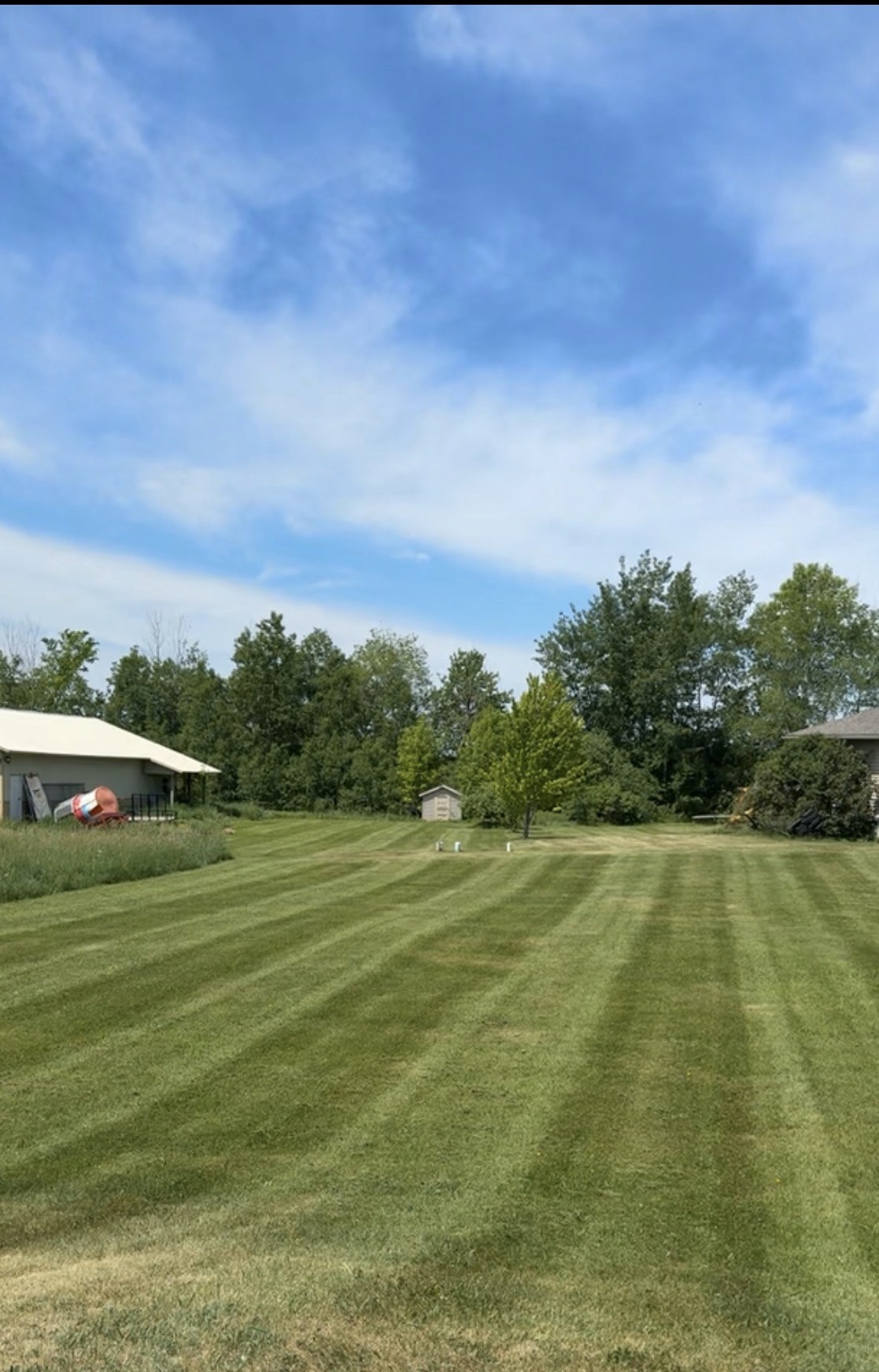 Fresh green lawn after professional care