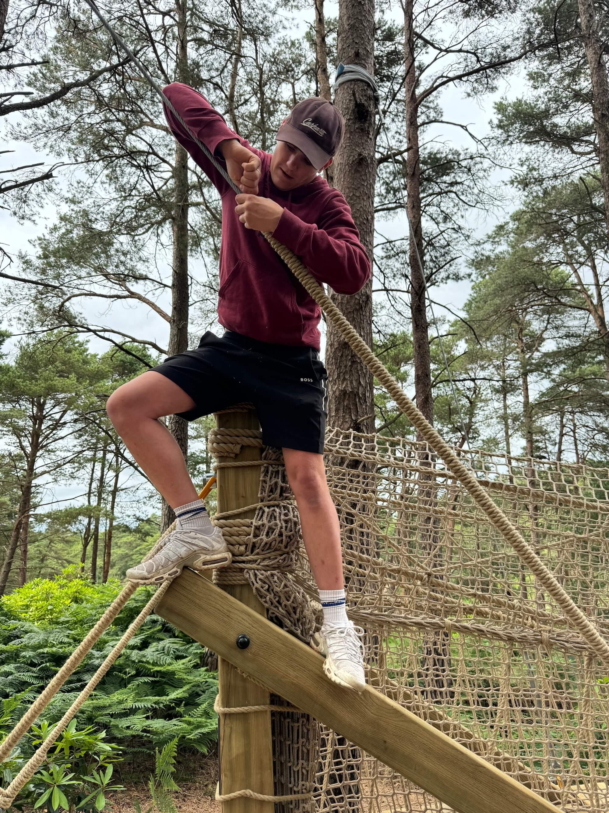 Rope bridge and wooden treehouse adventure park in a sunny forest setting.