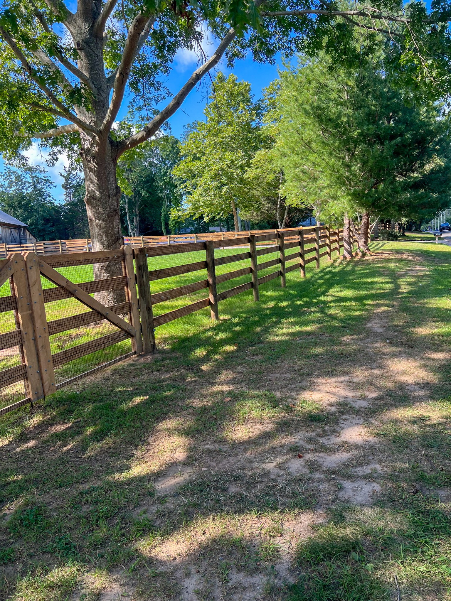 Post-and-rail wooden fence line along a shaded pasture