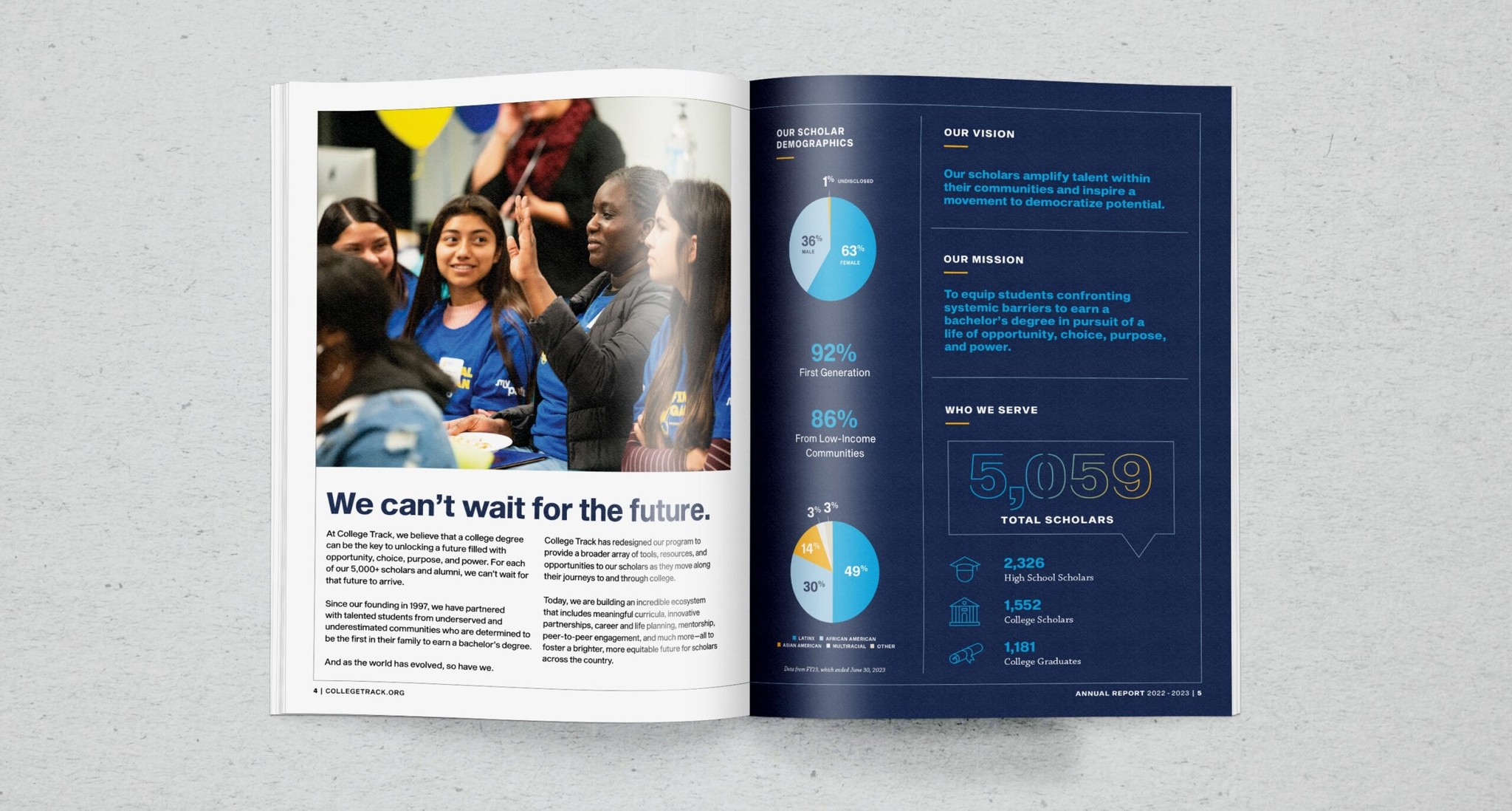 nonprofit annual report infographics