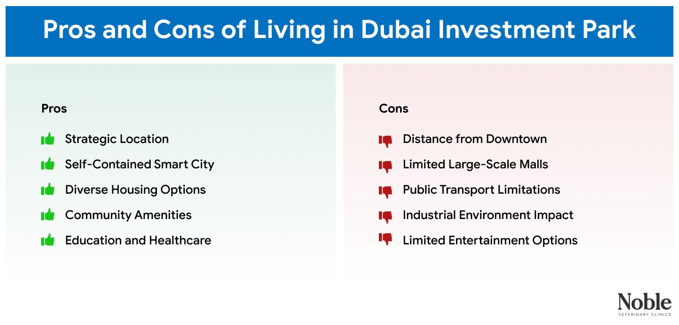A table displaying the pros and cons of living in Dubai Investment Park.