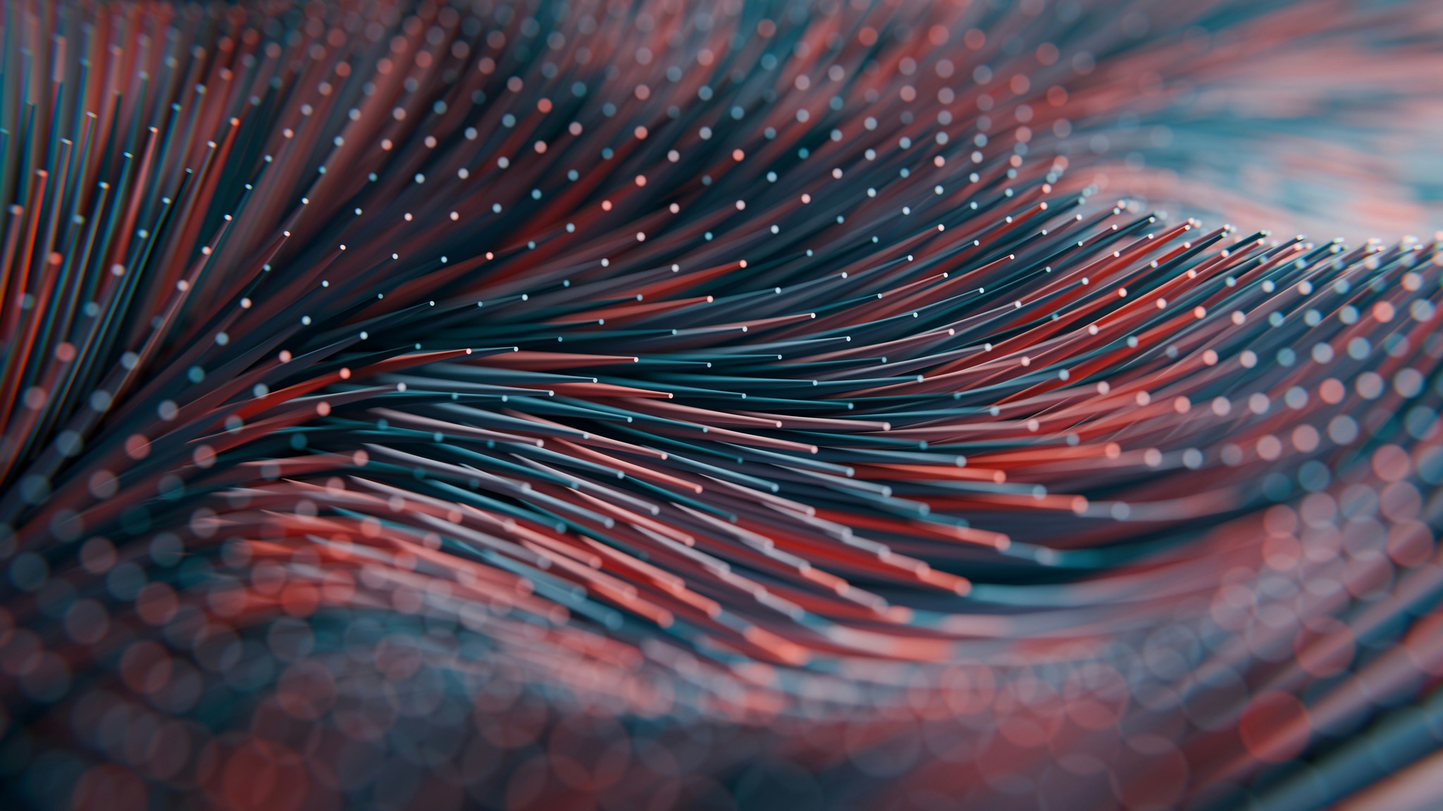 A close up of a blue and red feather