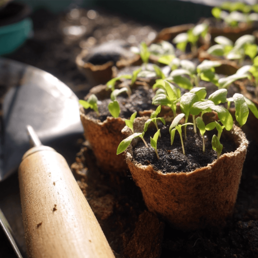 Serre moderne entourée de plantes, symbole de l’essaimage et du partage d’un modèle agricole durable.