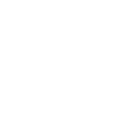 X icon