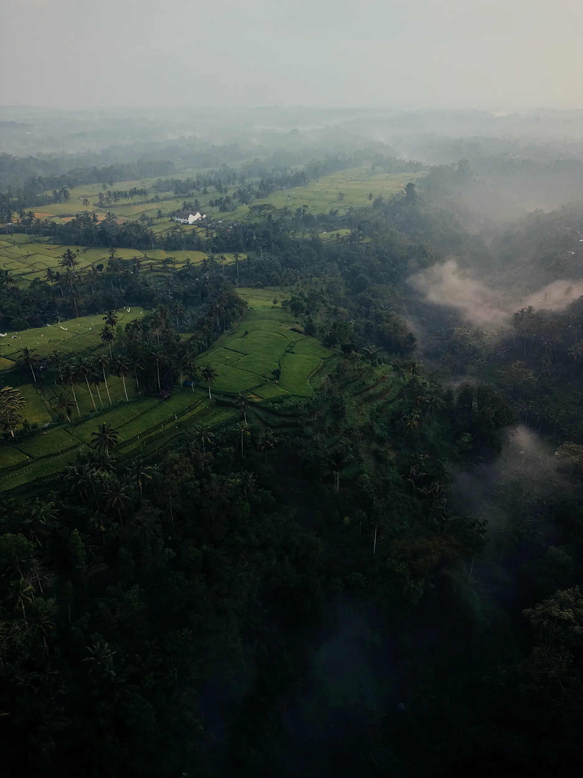 Photography Indonesia: professional shots for social media by FuturPhase.