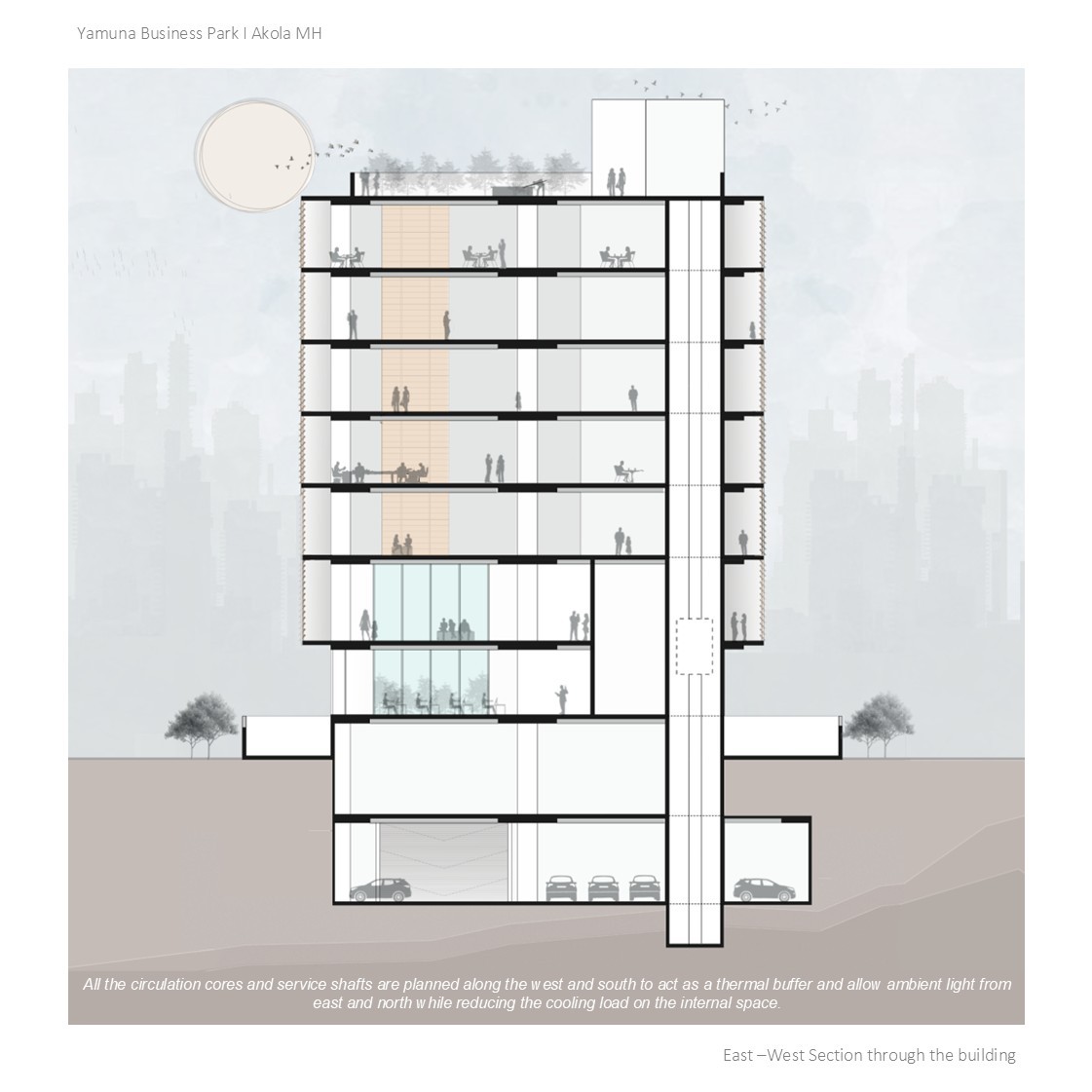 Business Park, Akola – sectional drawing showing vertical mixed-use floors and service cores as thermal buffers, designed by Rooted Narratives, Bengaluru.