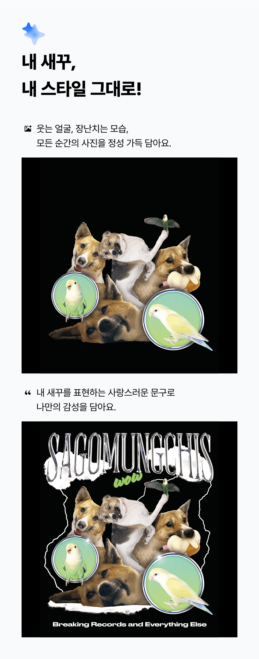 detail info 06.png