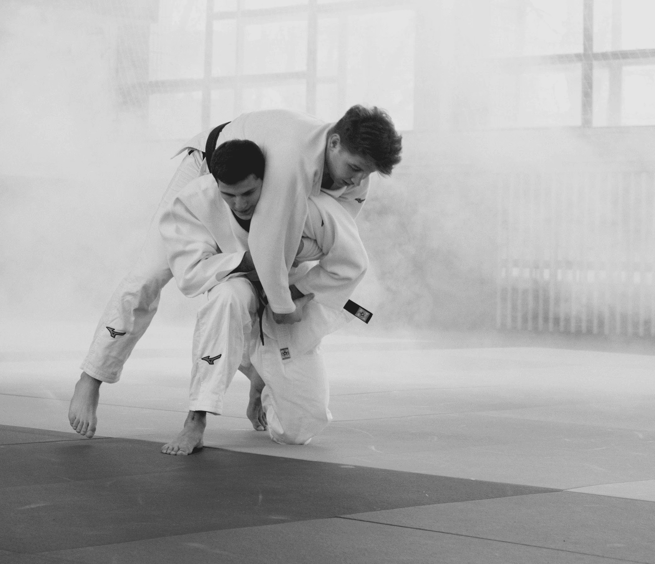 Judoka-Judo club decines