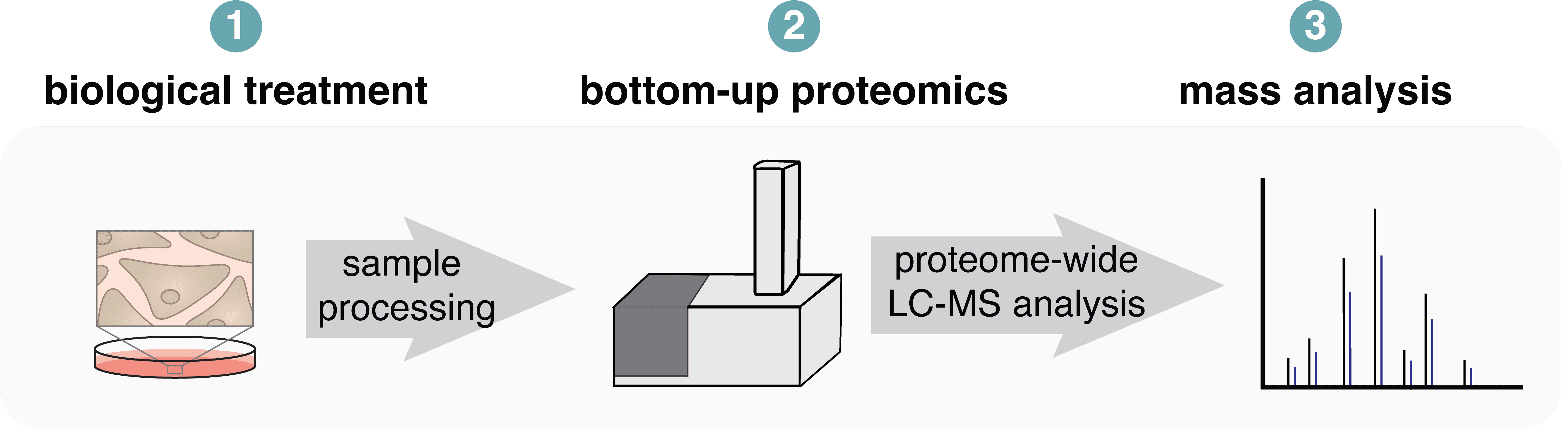 How to plan a proteomics experiment