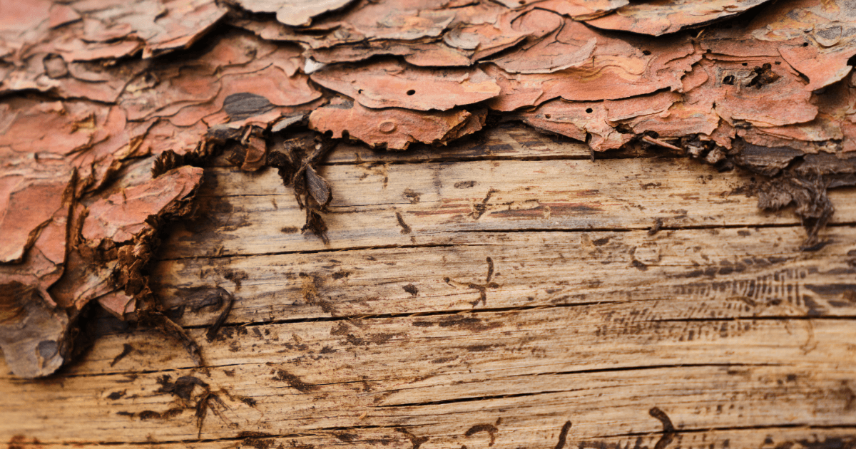 man drawing on dry-erase board