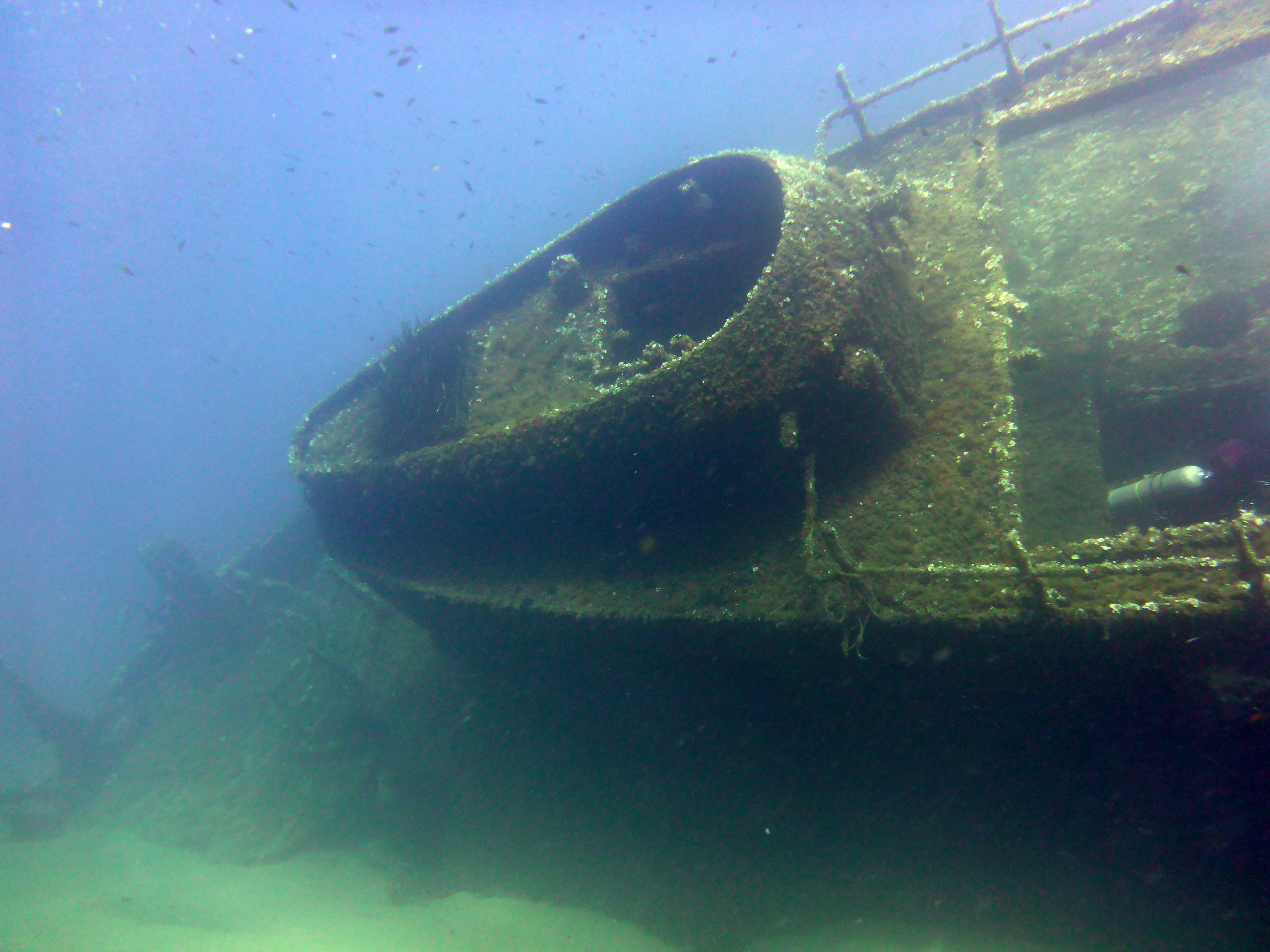 a woman scubas in the ocean with a camera