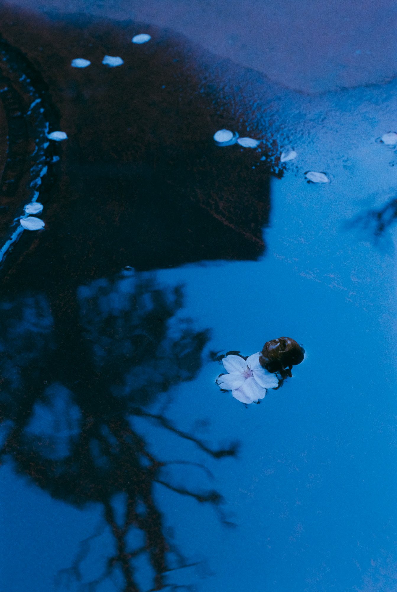 Taisei Matsumoto, 2025 exhibition view 16
