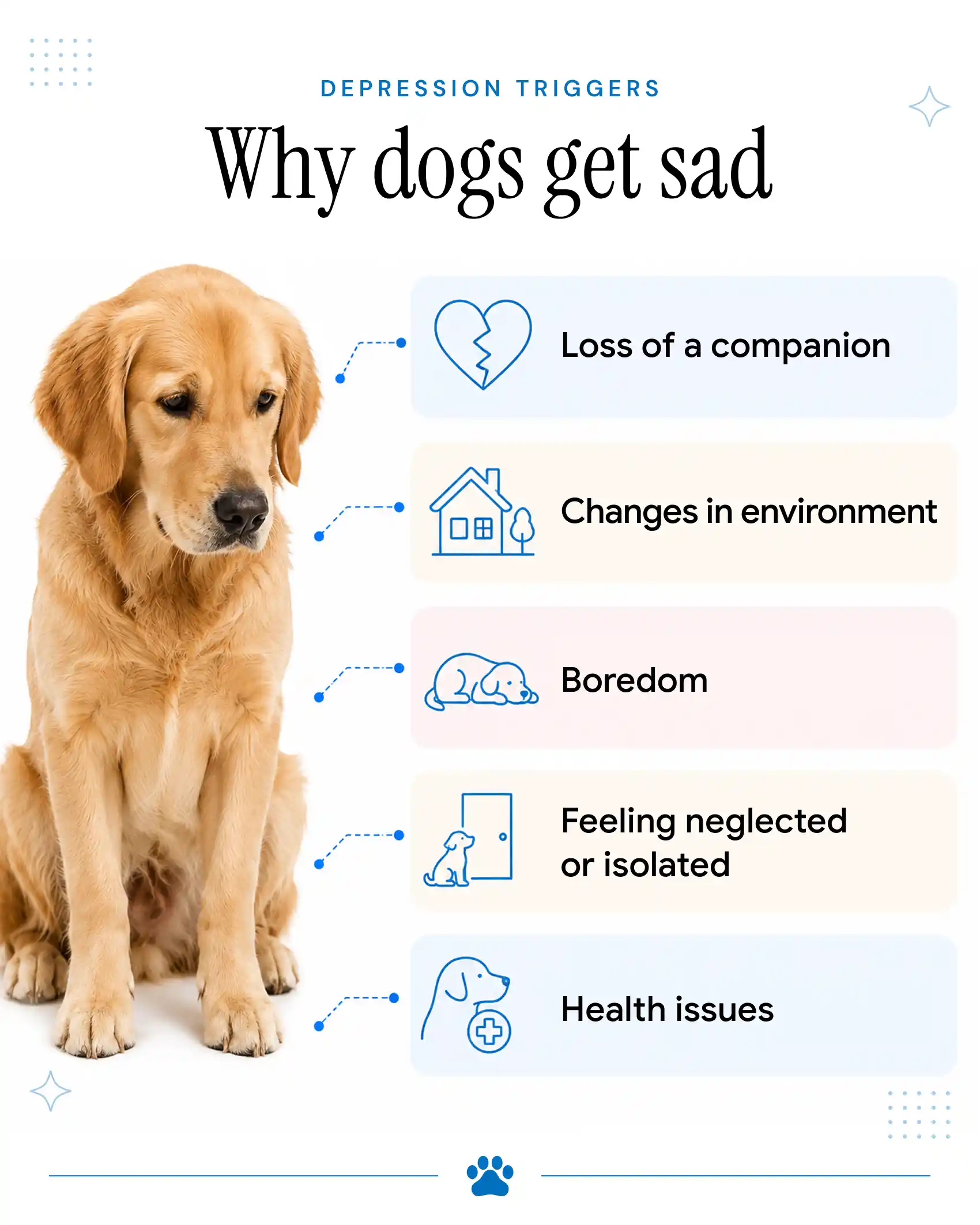 An infographic talking about the causes of dog sadness.