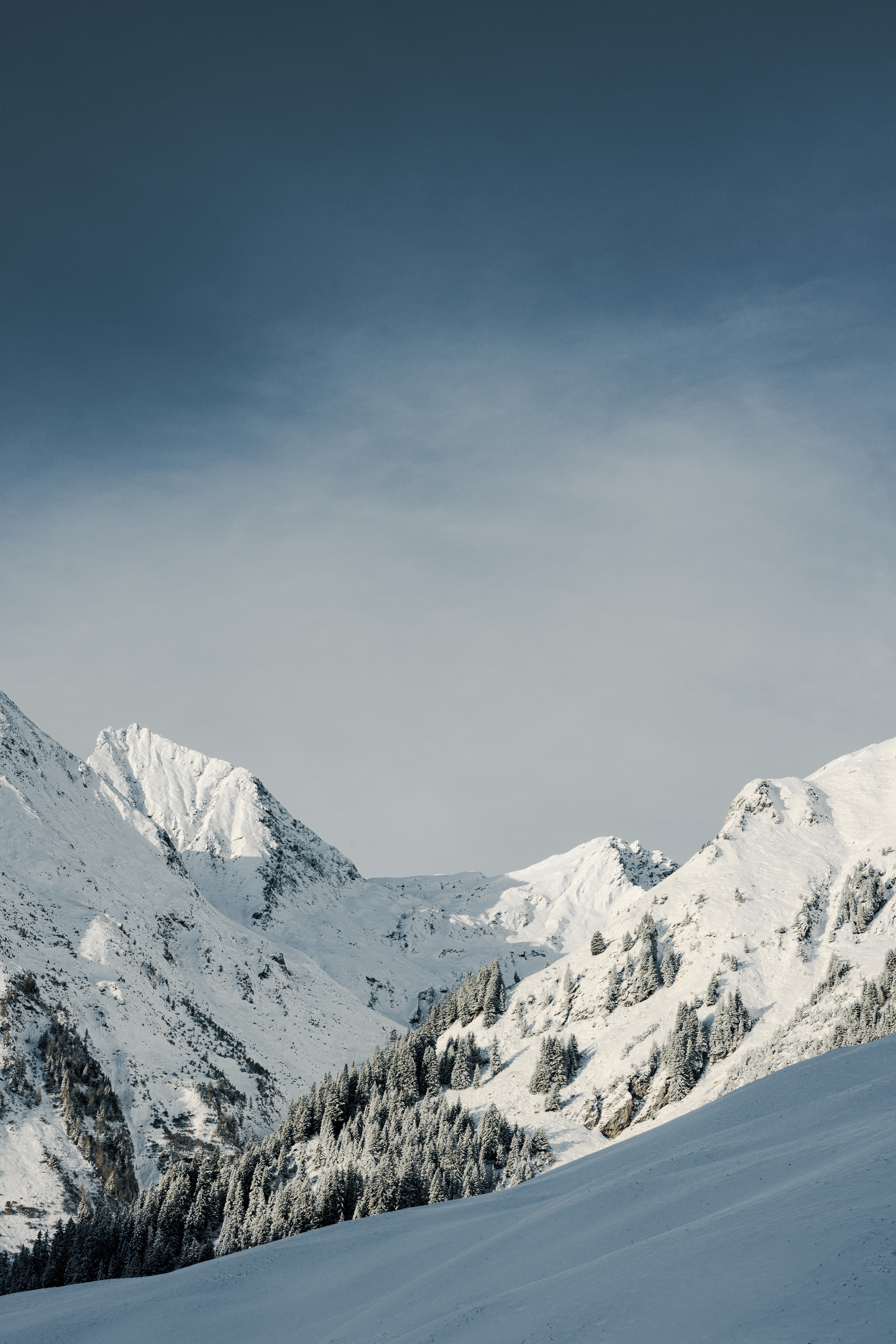 Moody portrait of a man with a shaved head and beard