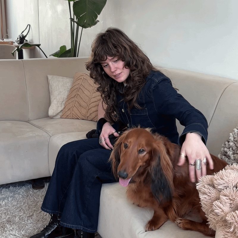 Become a dog sitter at Charly Cares