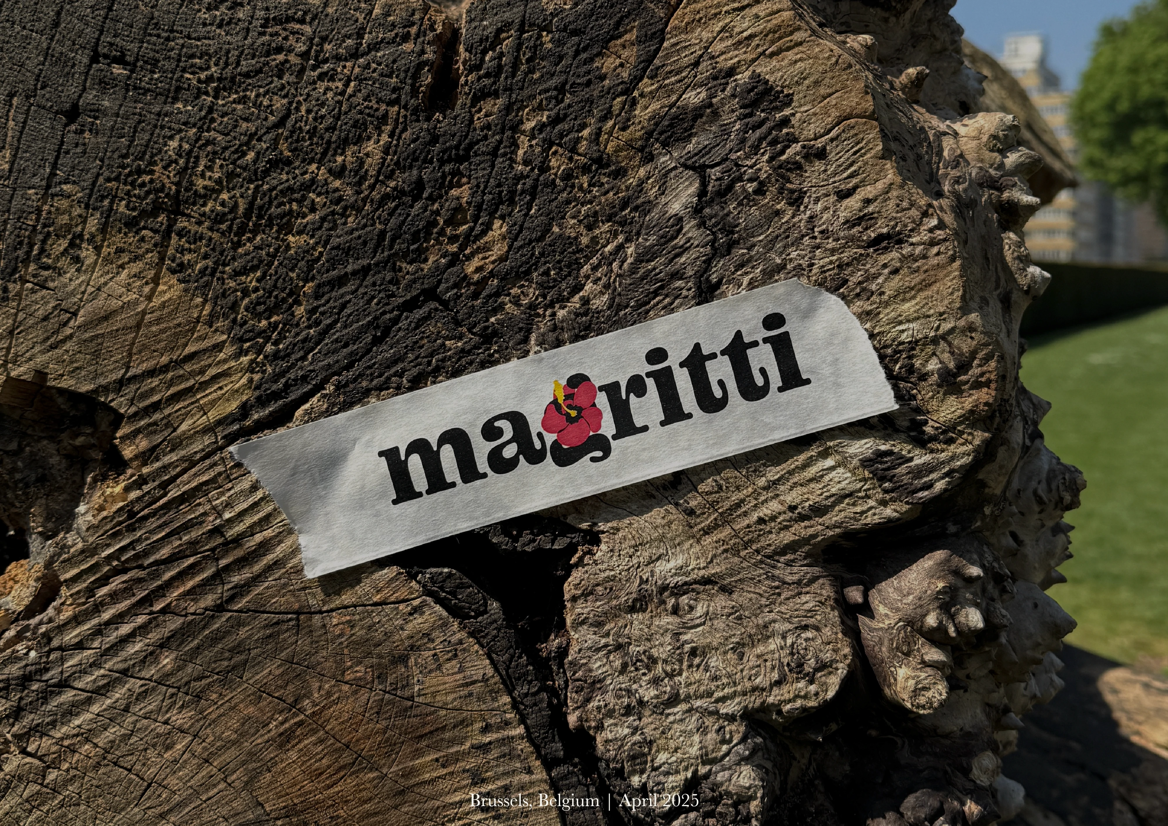 Branded packaging tape placed on a weathered tree stump