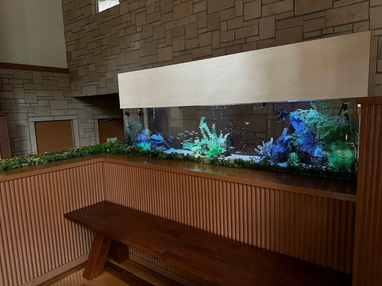 待合・共有スペースに設置された横長水槽のアクアリウムレイアウト