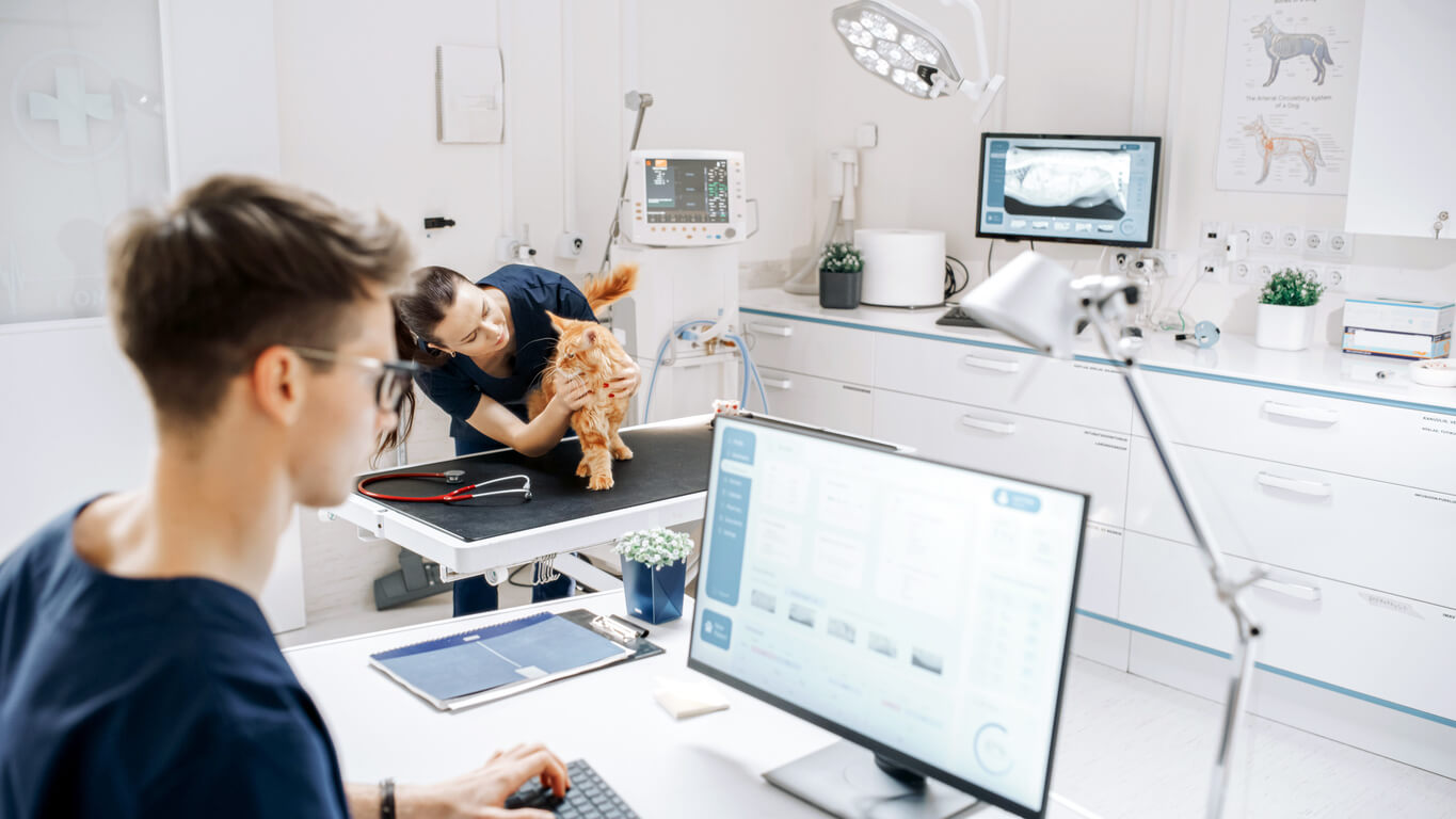 vet with cat looking at data on screen