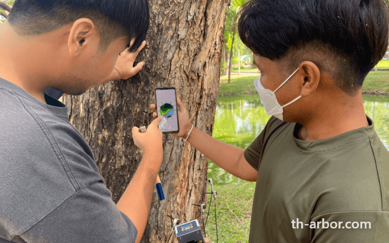 ทีมรุกขกรสำรวจและบันทึกข้อมูลต้นไม้รายต้นด้วยแอปพลิเคชัน - TH-ARBOR