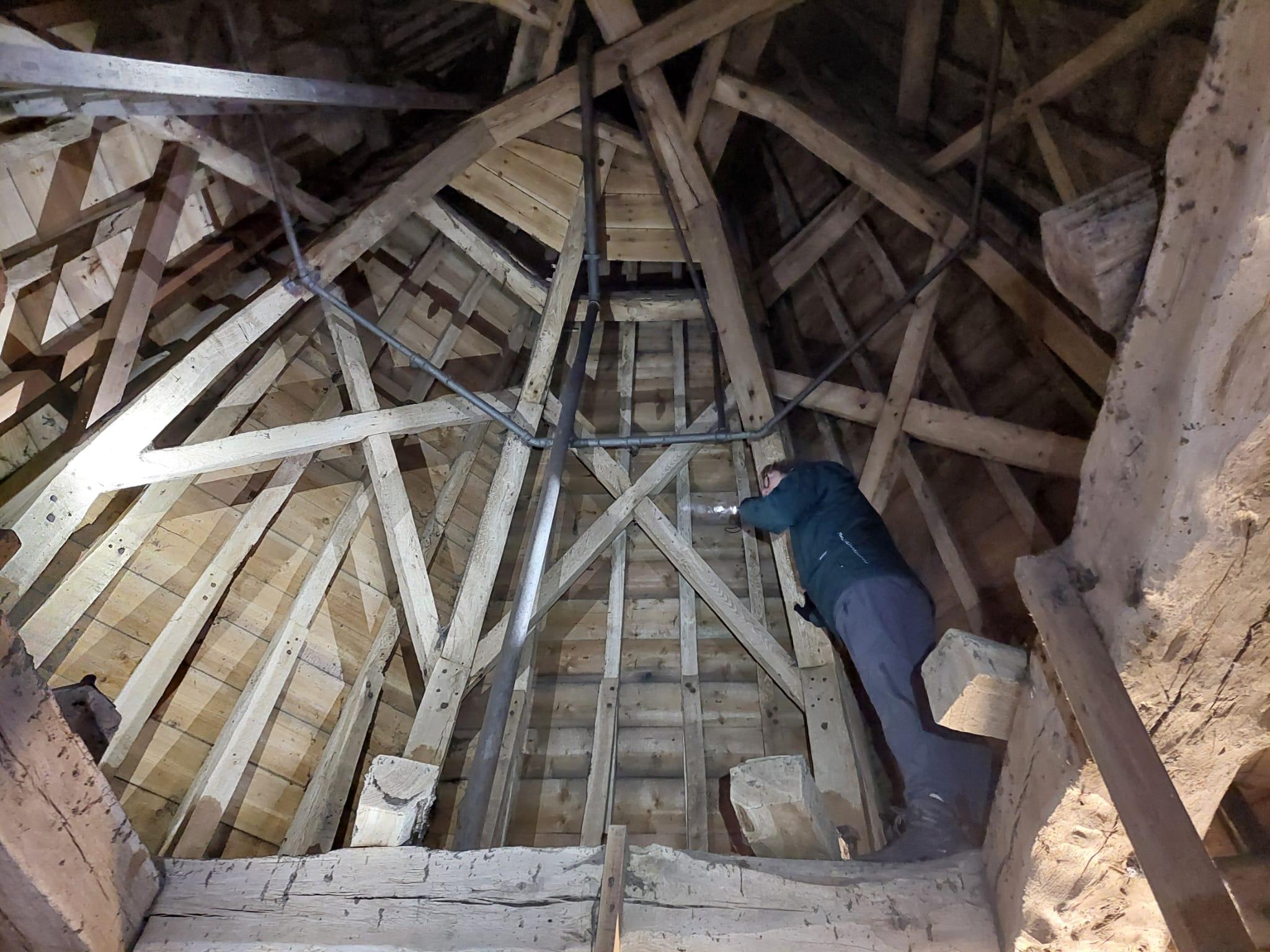 Werken bij Blom Ecologie