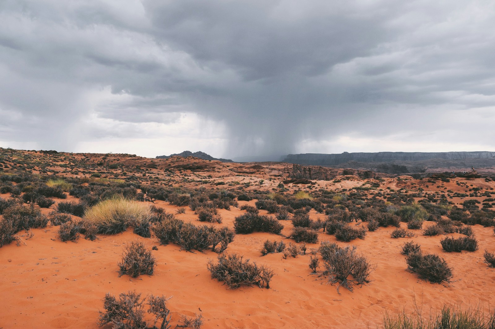 Monsoon clouds building over the desert.