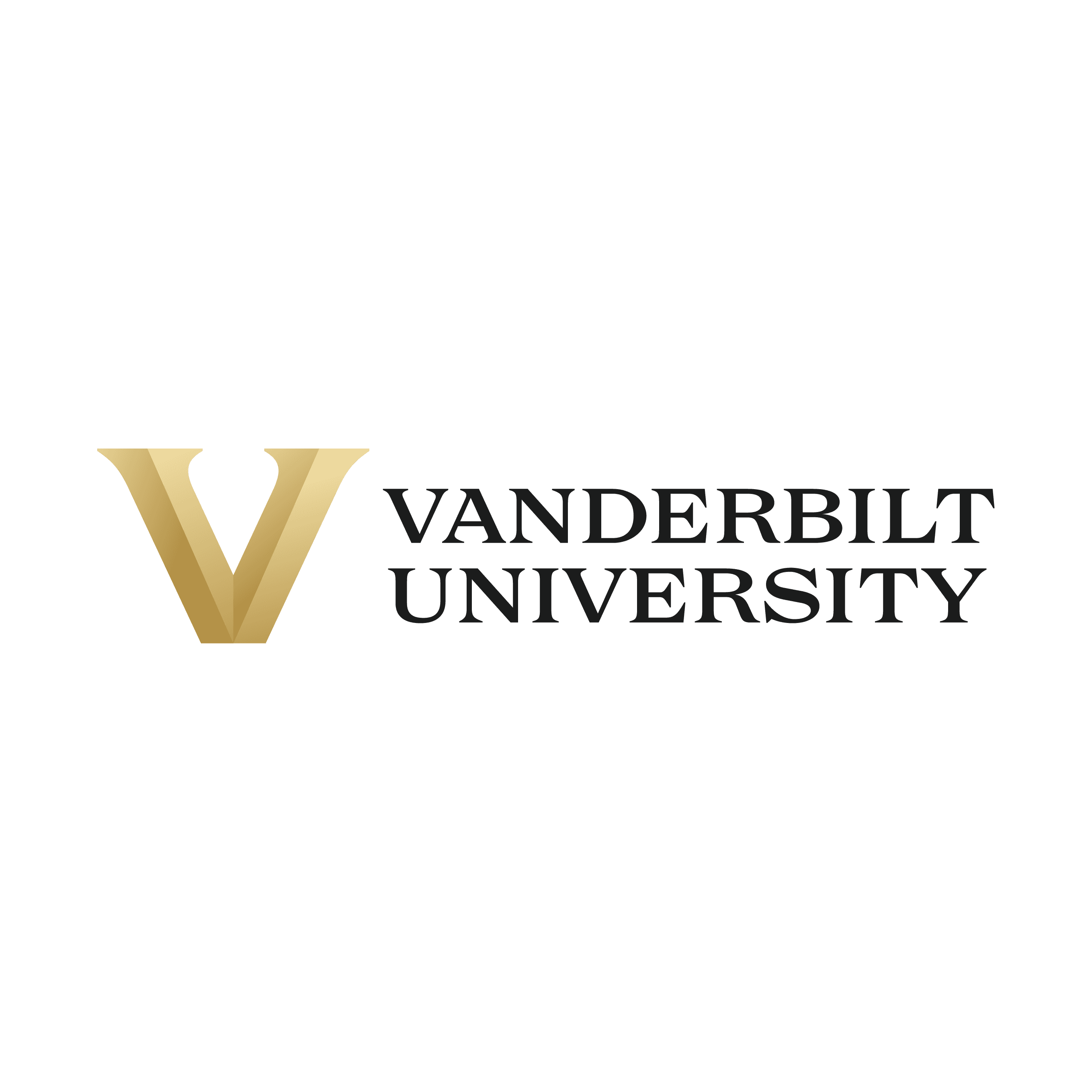 Placeholder logo