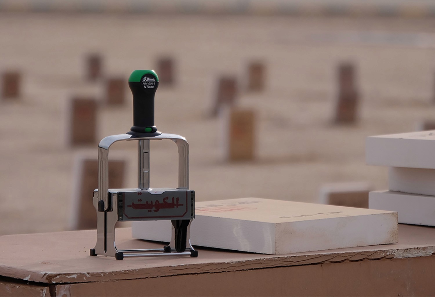 ToKuwaiti's Banned Book Graveyard detailed shot