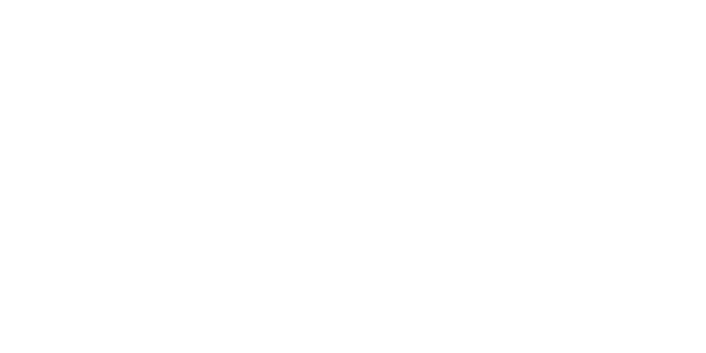 Logo Solmax