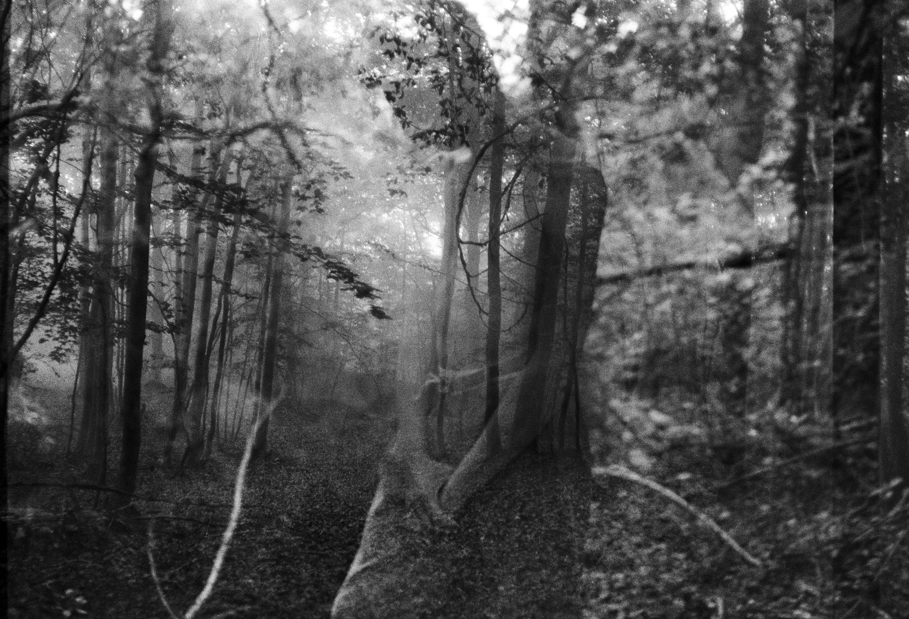 Atmospheric landscape photography print