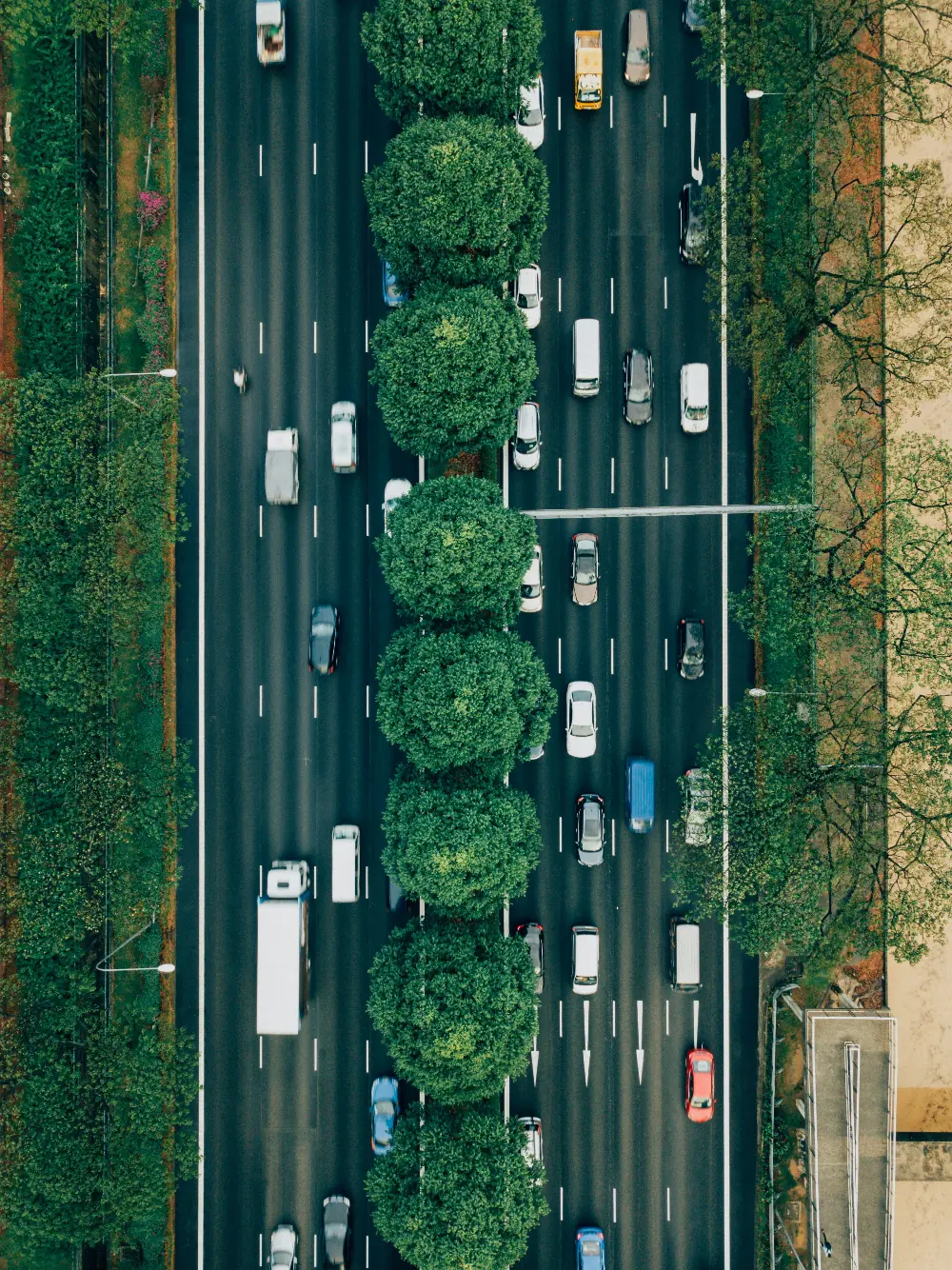 Direct overhead aerial photography of a tree-lined city avenue with vehicles commuting on a straight multi-lane road