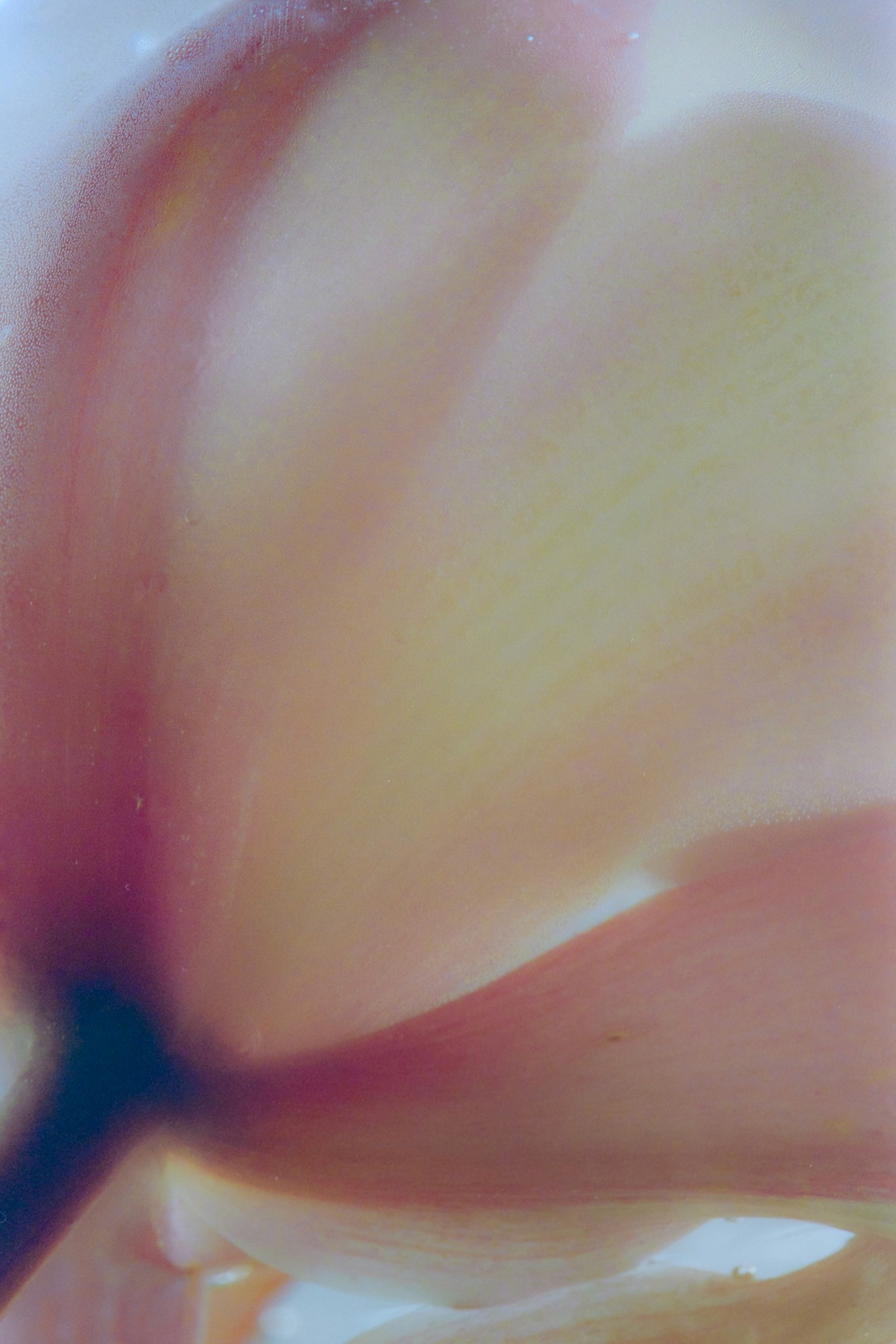 Taisei Matsumoto, 2023 exhibition work 010