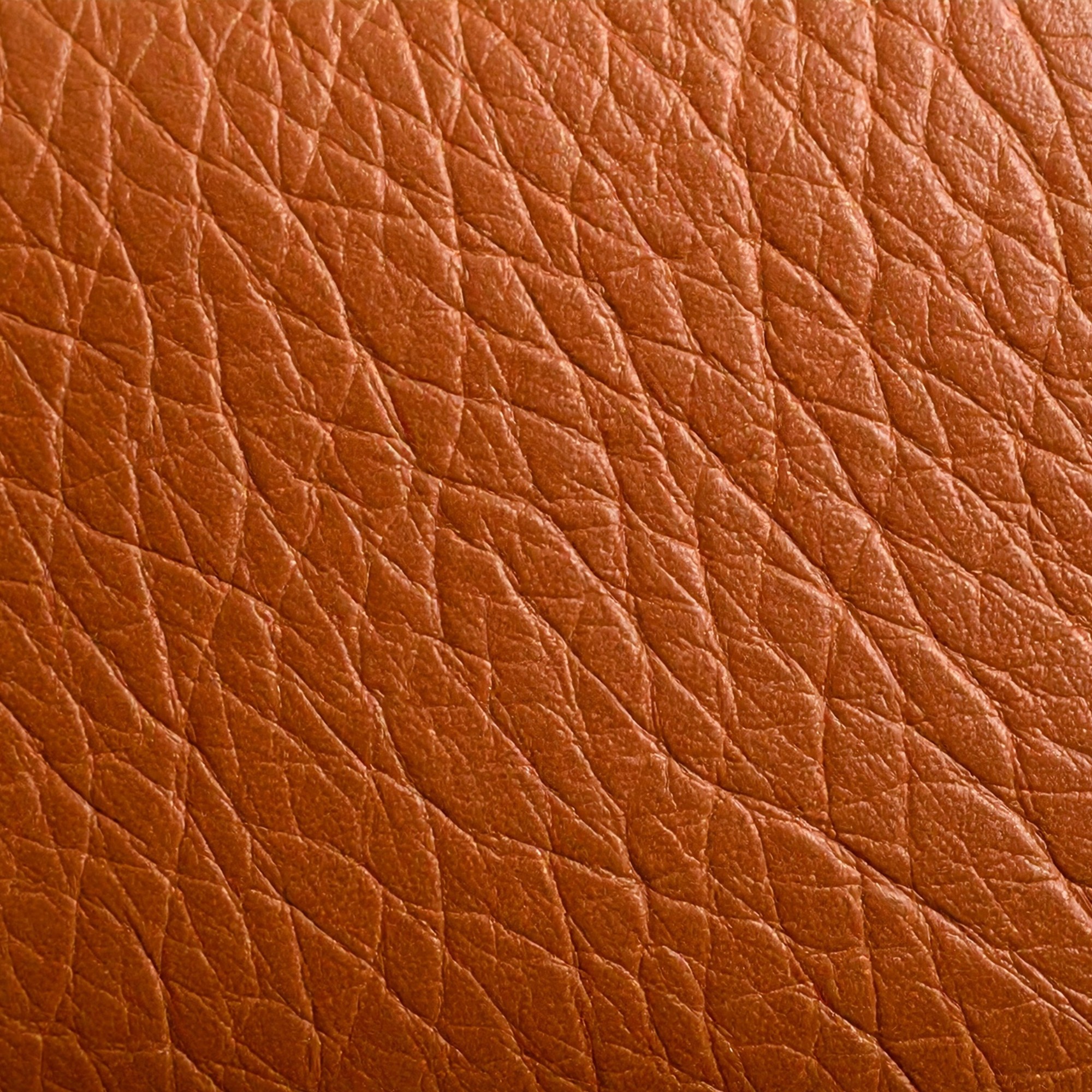 Aged leather background with a stitched border and brass studs