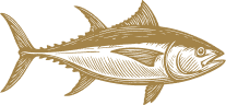 Salt Safari Fish Logo