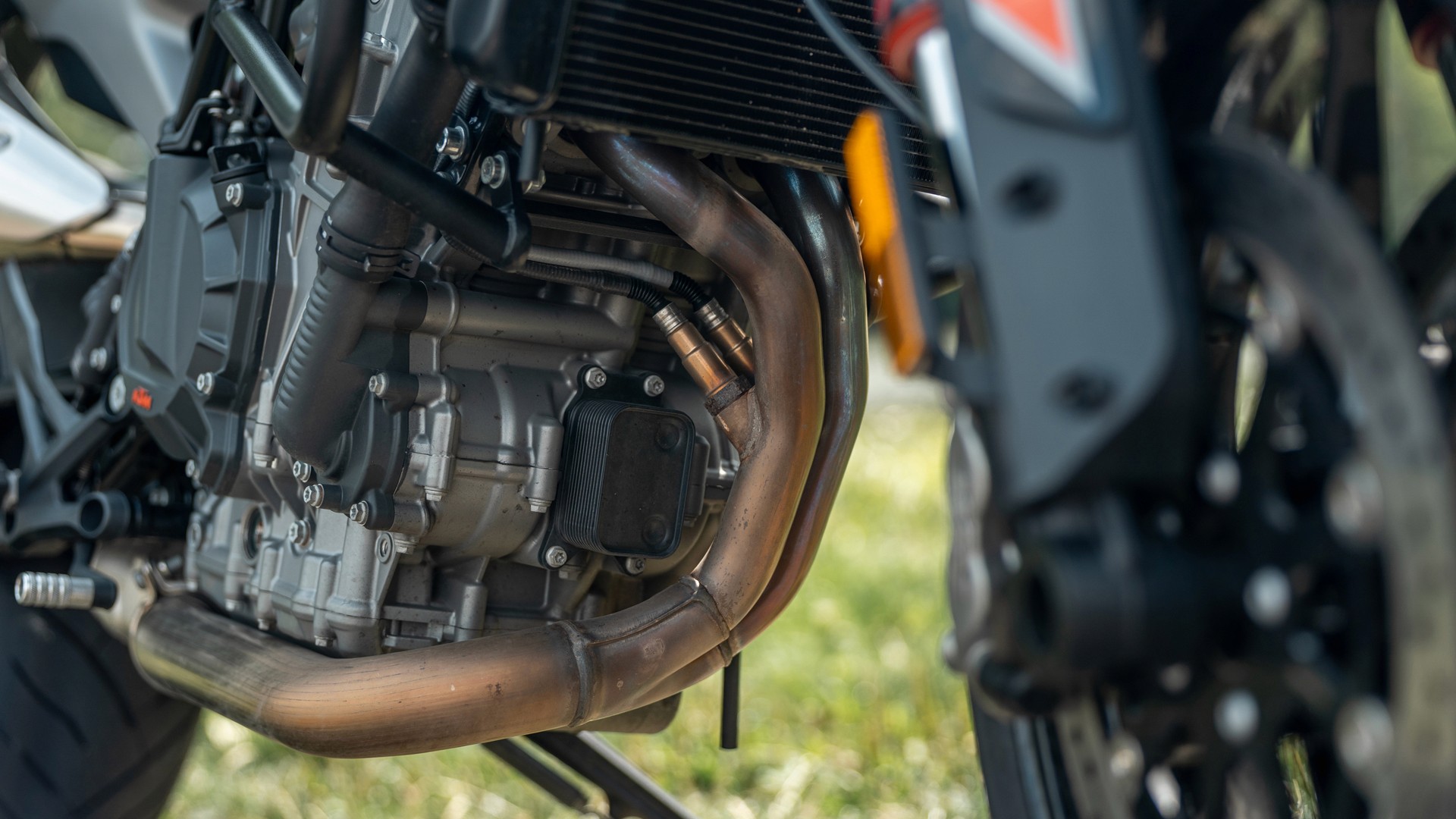 KTM Duke 790 Nahaufnahme – moderne Motorraddetails für eine solide und preisbewusste Führerschein-Ausbildung.