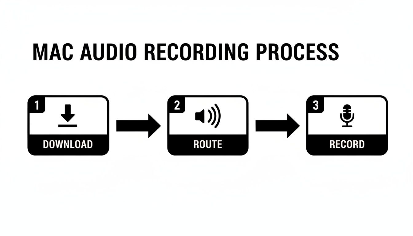 A three-step diagram illustrating the Mac audio recording process: download, route, and record.
