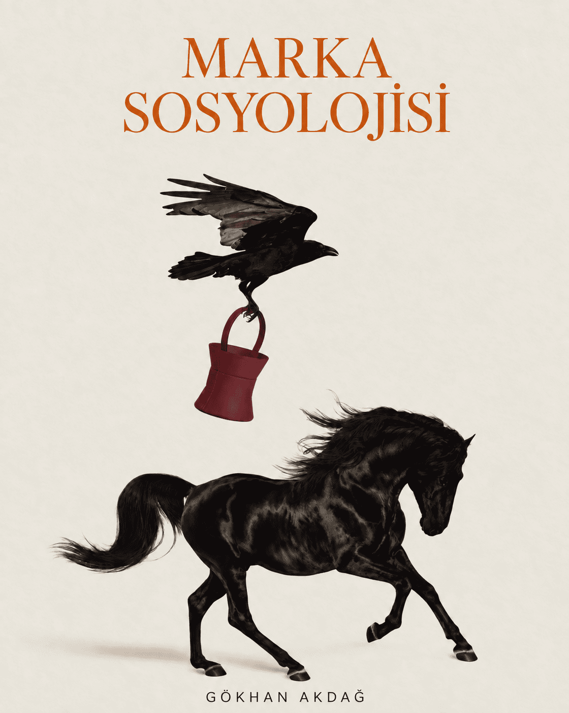 Marka Sosyolojisi kitap kapağı