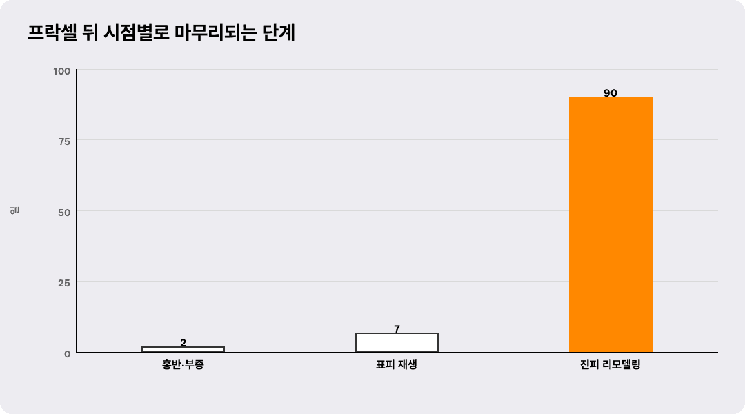 프락셀 뒤 시점별로 마무리되는 단계