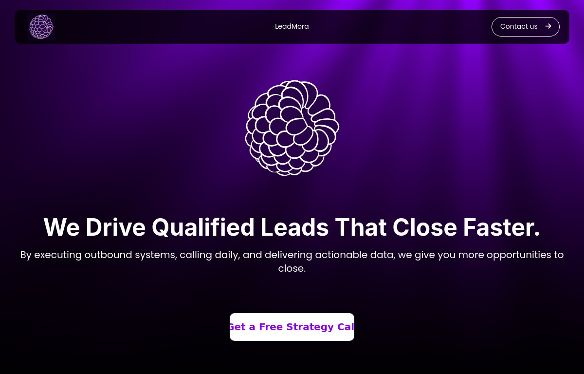 leadmora.com