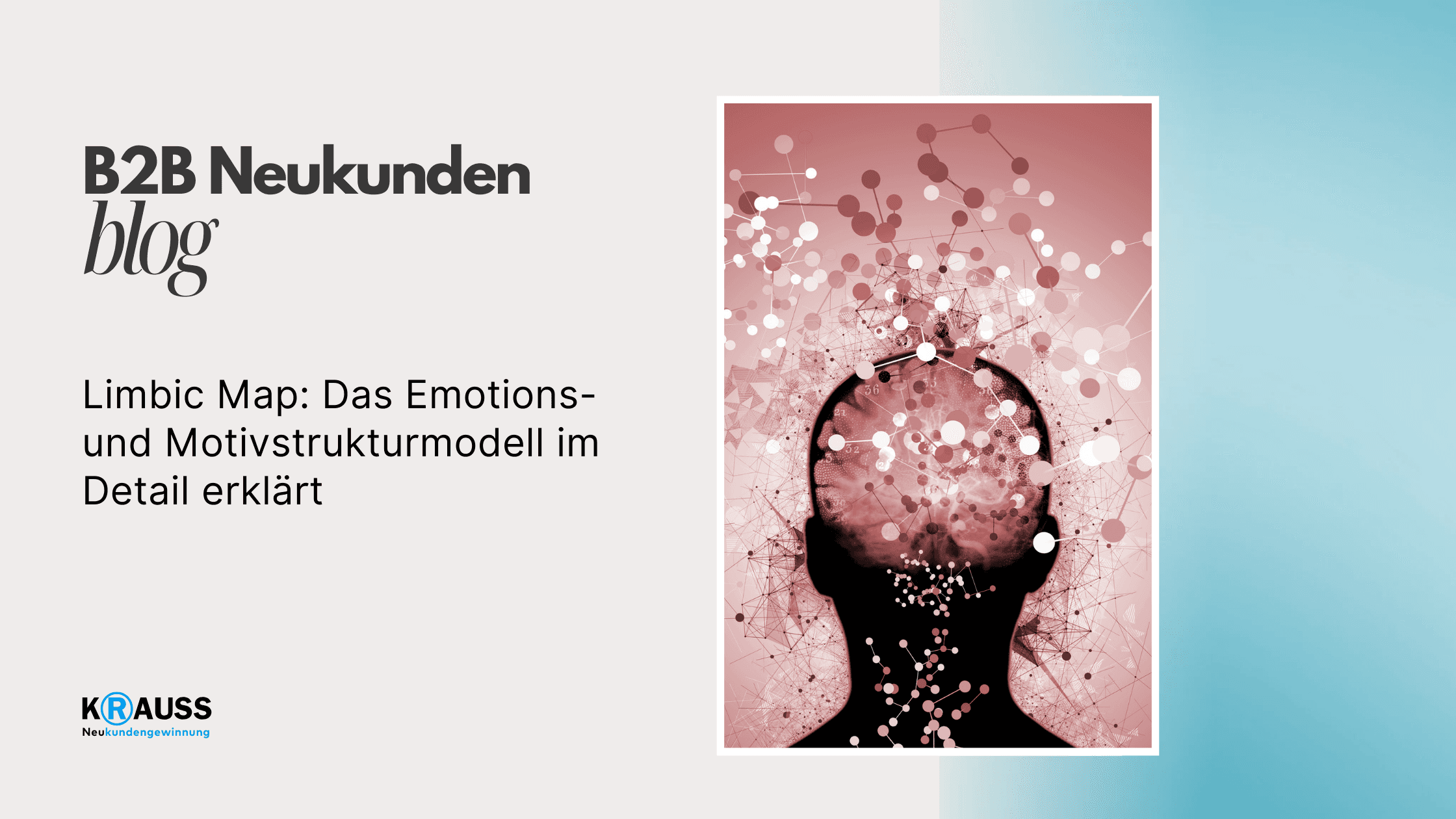 Limbic Map: Das Emotions- und Motivstrukturmodell im Detail erklärt