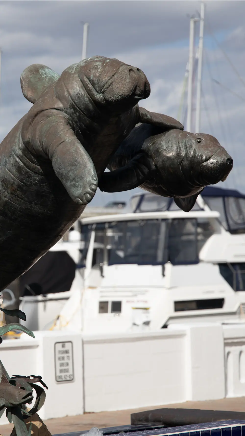 A bronze statue of a mother manatee with her calf is prominently displayed in a marina, surrounded by various sailboats and clear blue skies, symbolizing marine life conservation. marina along riverwalk bradenton, fl