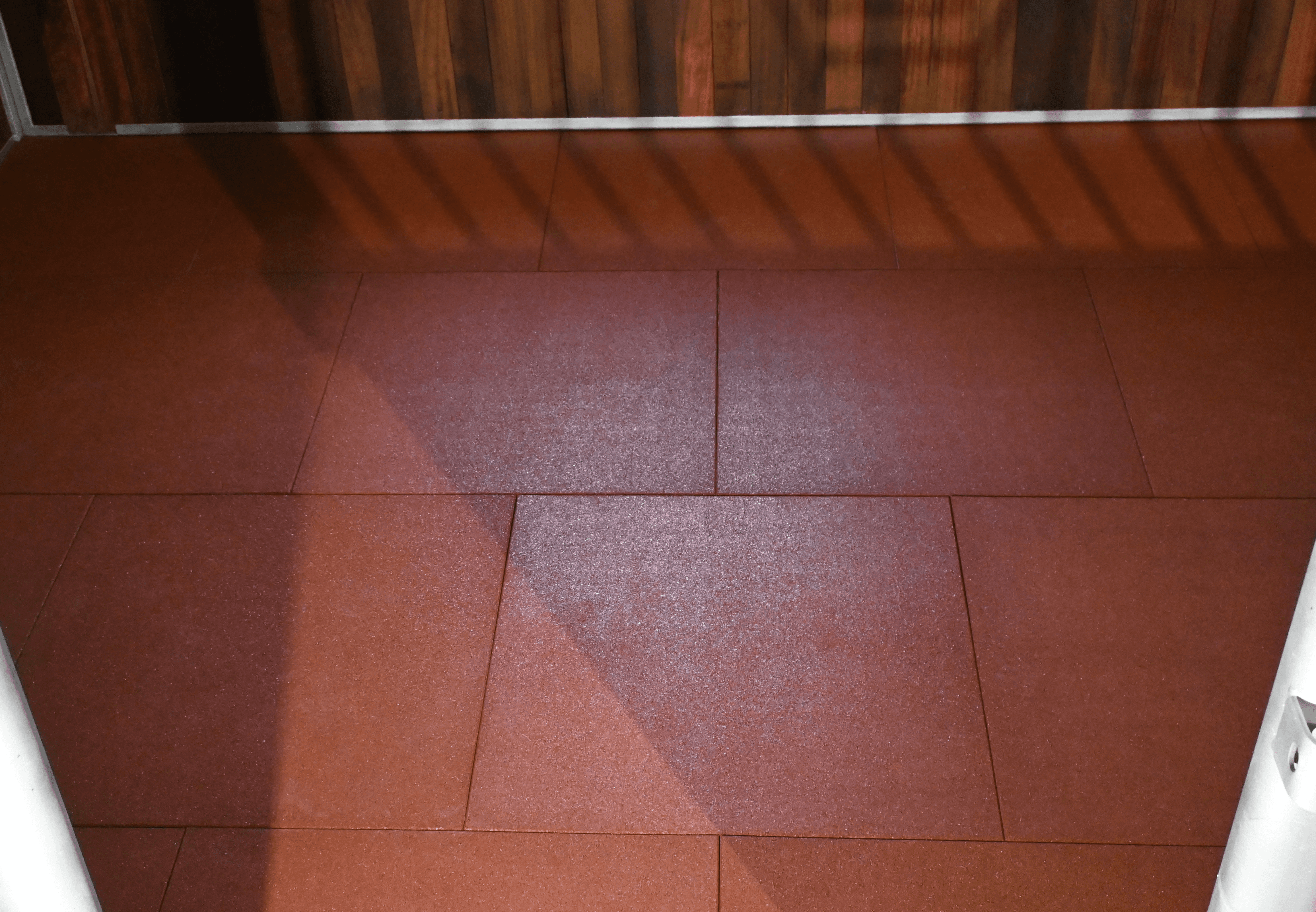 hest som vaskes med vann