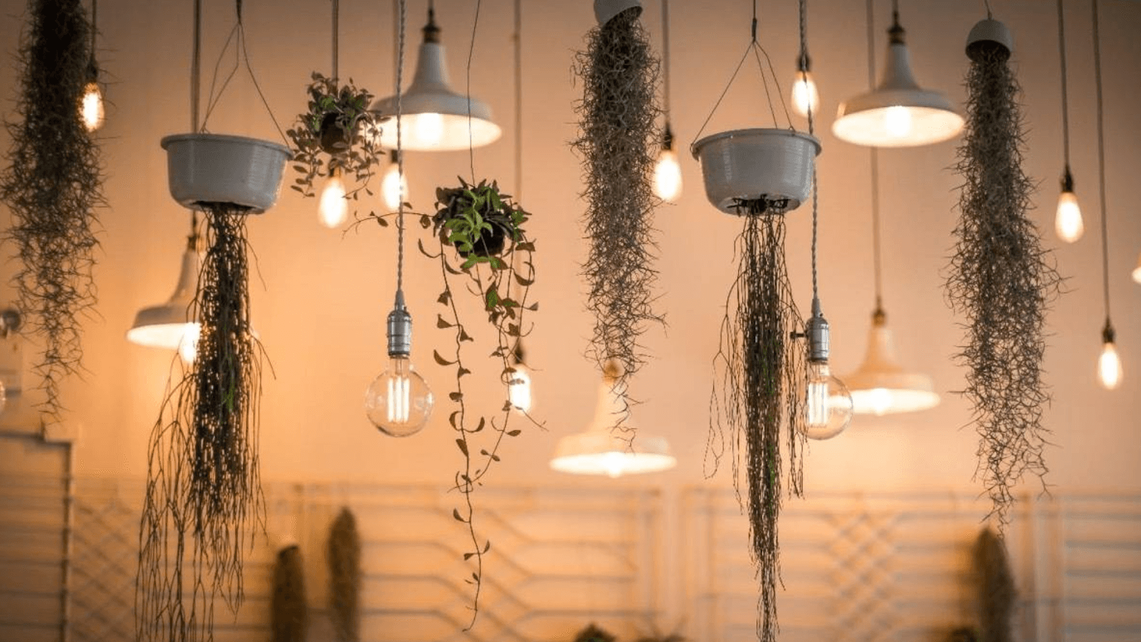 Scandinavian-Inspired Lighting Magic