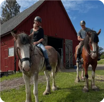 Ridning med utrustning för häst från Tassa och Trava – Bättre begagnat.