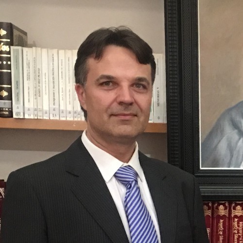 Portrait of a large grey dog on green background