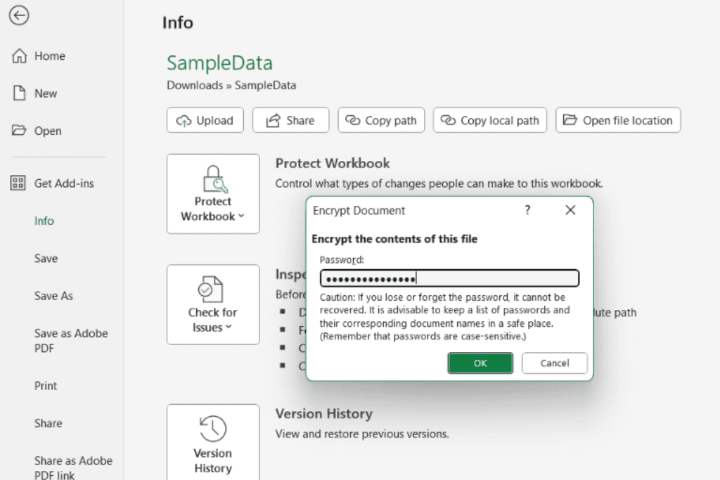 how to encrypt a file in excel