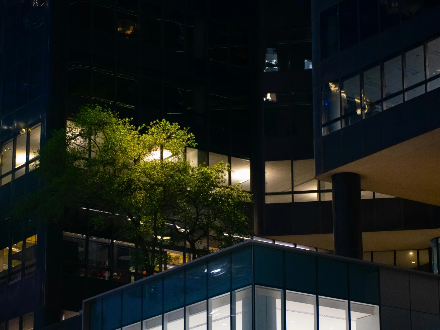 A swirl of vibrant purple and green colors against a dark background, creating an abstract, ethereal effect.